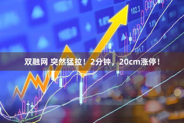 双融网 突然猛拉！2分钟，20cm涨停！