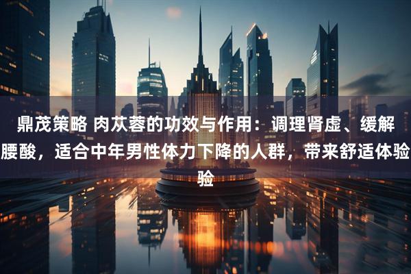 鼎茂策略 肉苁蓉的功效与作用：调理肾虚、缓解腰酸，适合中年男性体力下降的人群，带来舒适体验