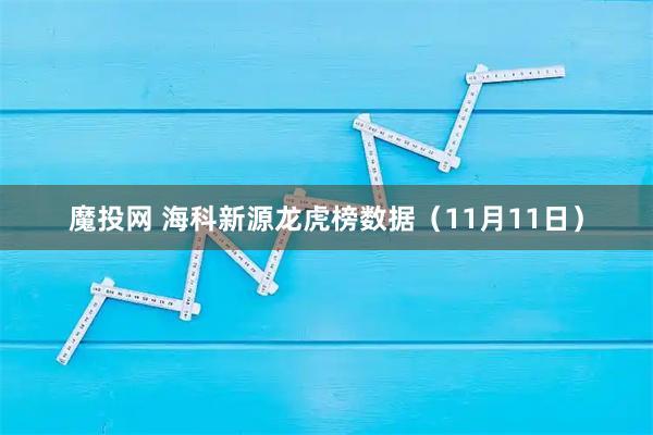 魔投网 海科新源龙虎榜数据（11月11日）