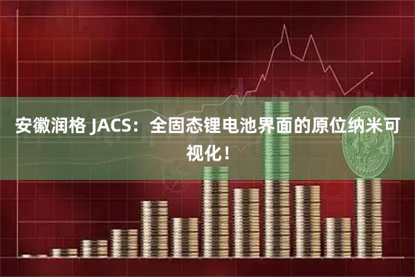 安徽润格 JACS：全固态锂电池界面的原位纳米可视化！