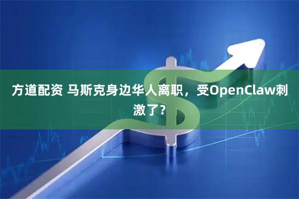 方道配资 马斯克身边华人离职，受OpenClaw刺激了？